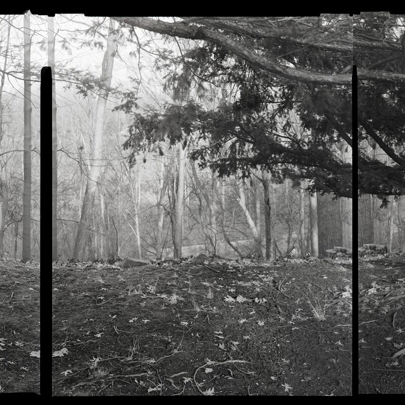 Twelve Literary Arts brings performance poetry to public spaces, while supporting poets and writers of all ages with youth programming, adult professional development, and brave spaces to dream, write, and teach into reality a world of social justice and equity.