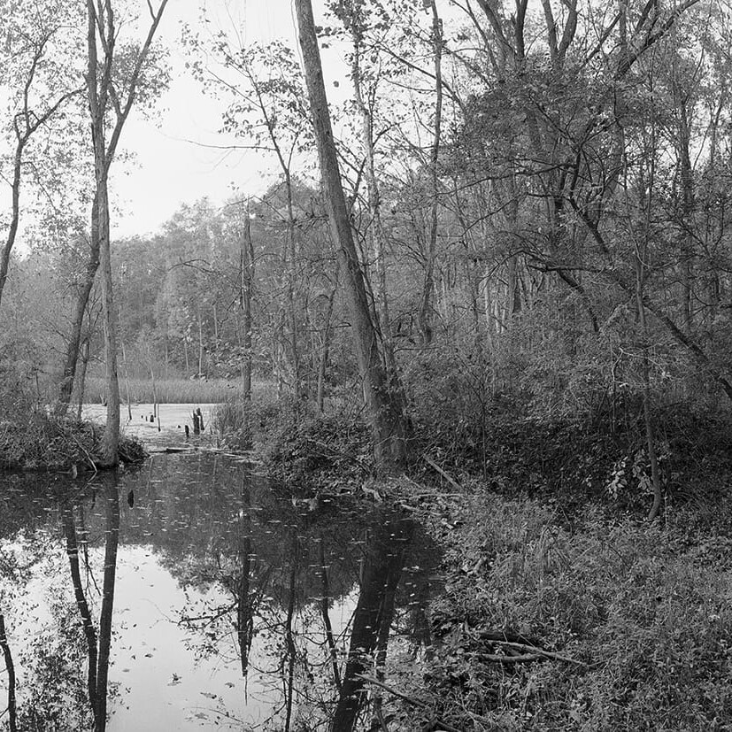 Former canal basin near Beaver Marsh