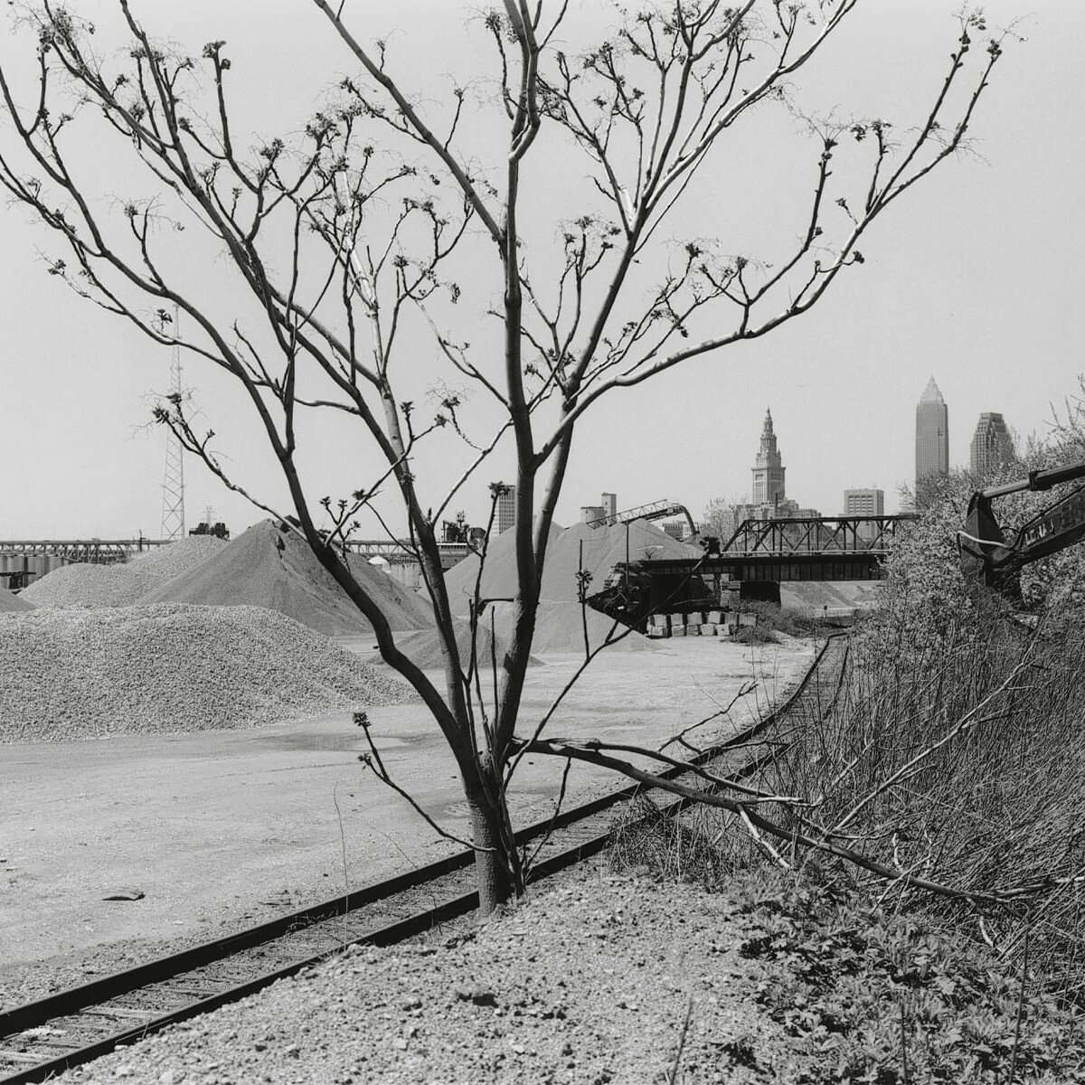 Rockefeller Avenue, Kingsbury Run