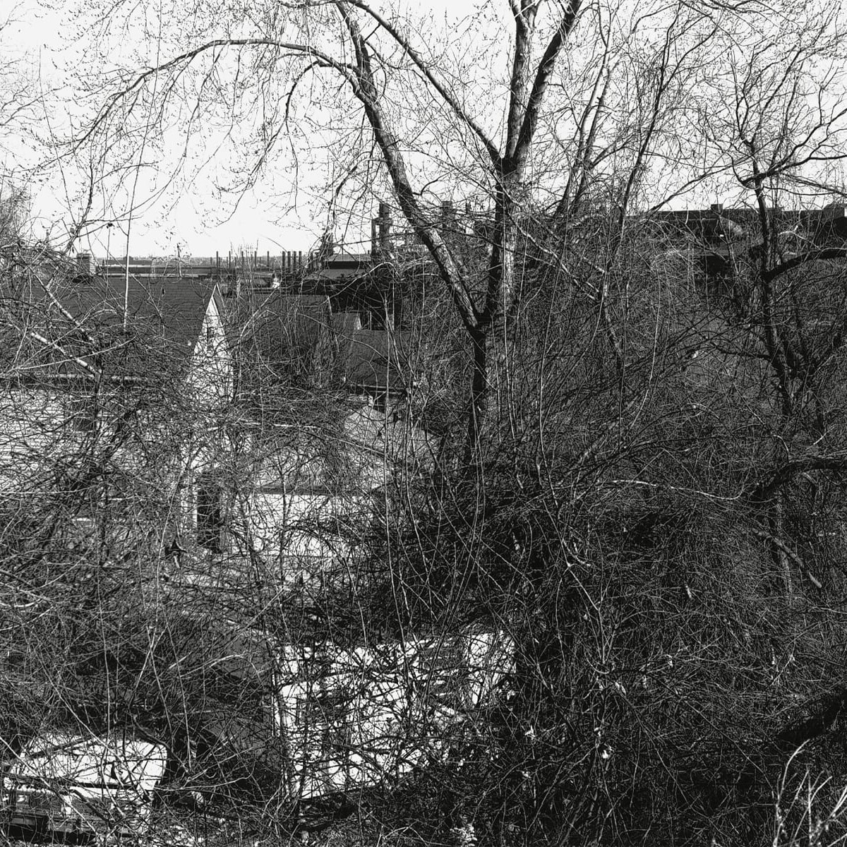 Holmden Avenue, Tremont