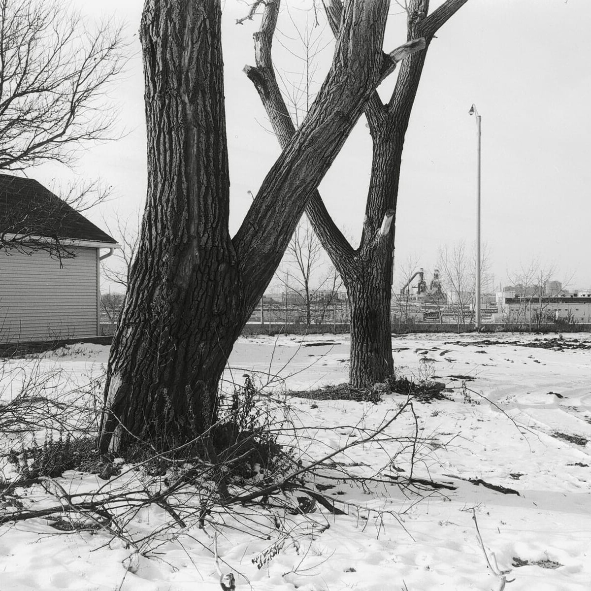 Barkwill Avenue, Slavic Village