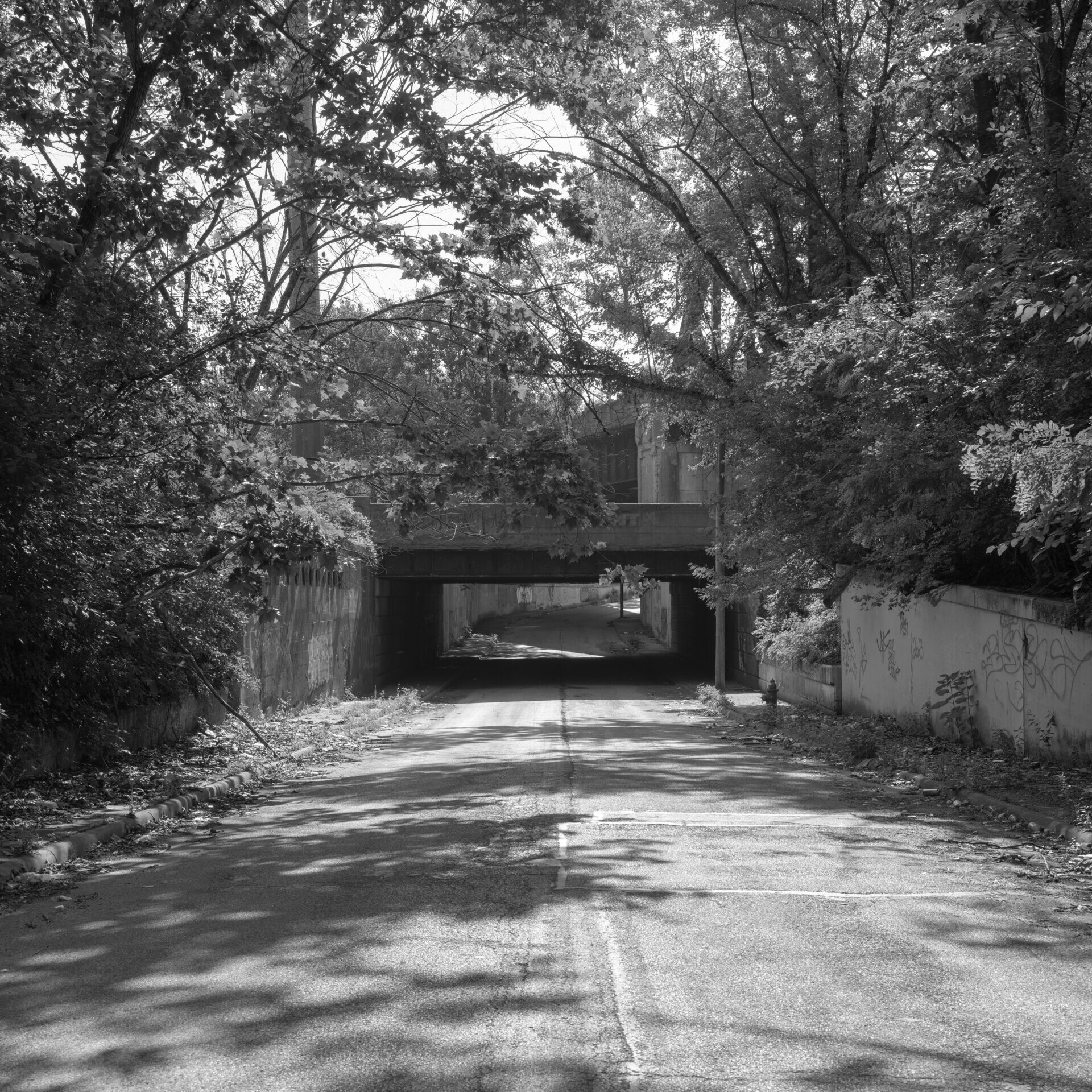 Bridge passes over Holton Avenue near East 90th Street