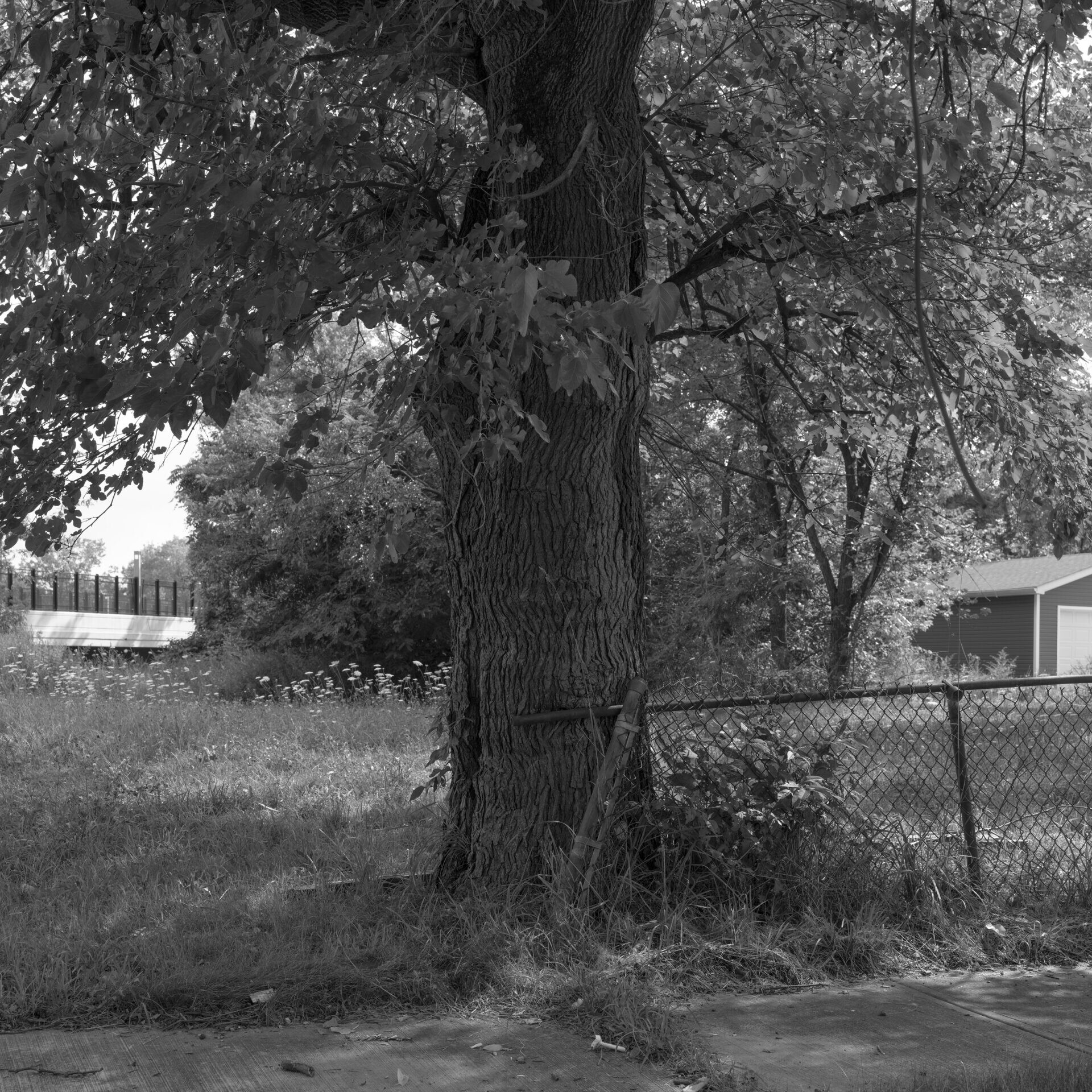 Opportunity Corridor at Colfax Rd