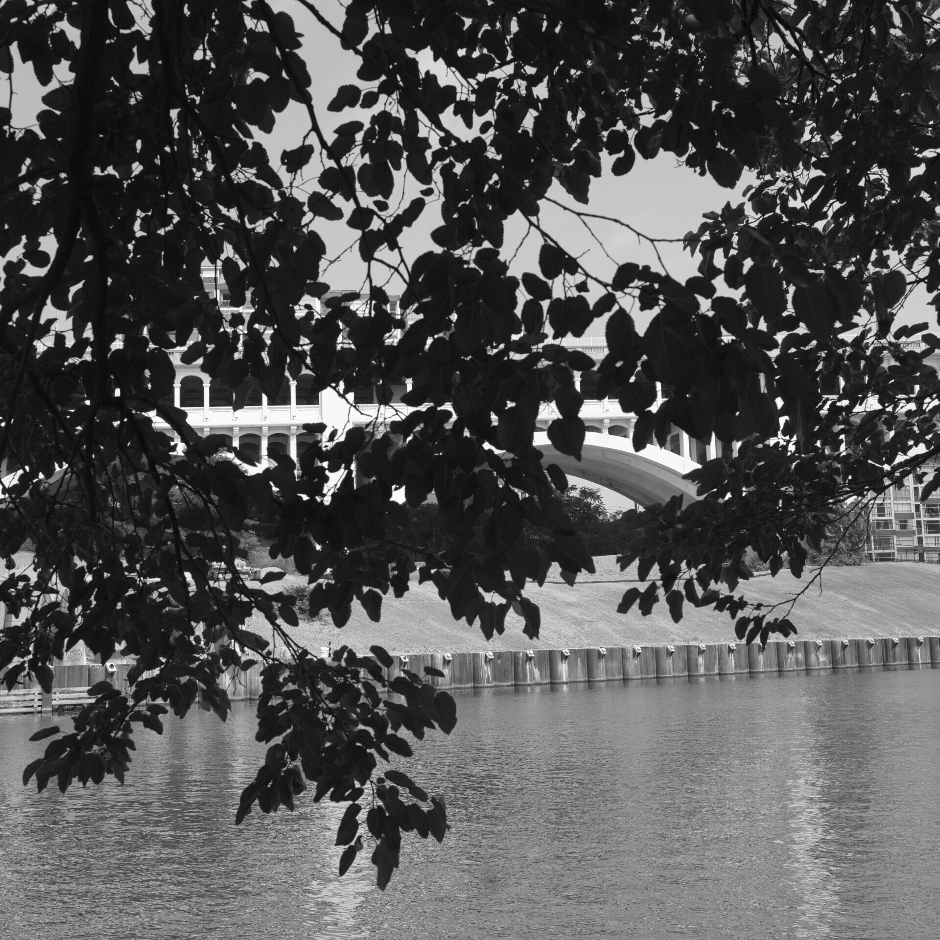 Veteran's Memorial Bridge from across the river